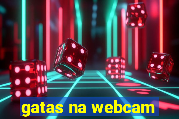 gatas na webcam